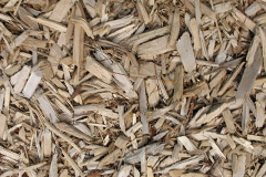 biomass boilers Whitekirk